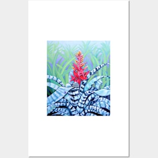 The Bromeliad Harlequin Posters and Art